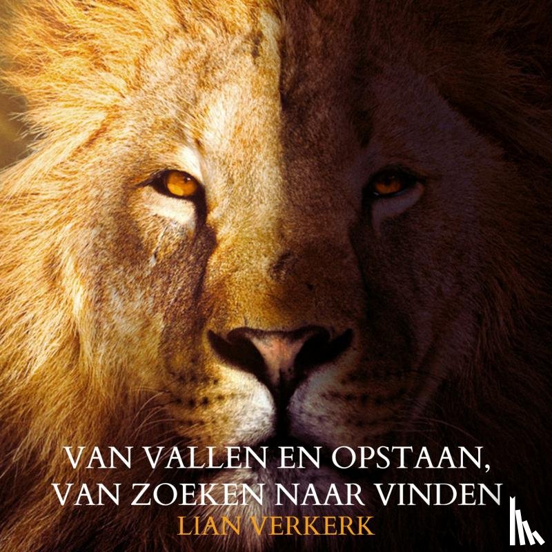 Verkerk, Lian - Van vallen en opstaan, van zoeken naar vinden