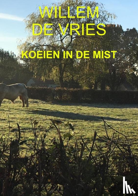 de Vries, Willem - Koeien in de mist