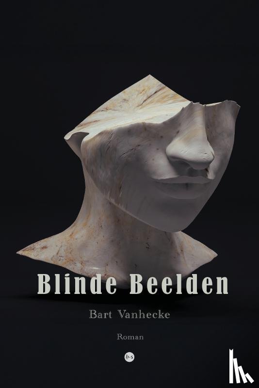 Vanhecke, Bart - Blinde Beelden