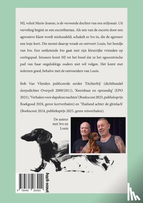 Van Vlierden, Rob - De tragische, hilarische en spannende lotgevallen van MJ, voluit Marie-Jeanne