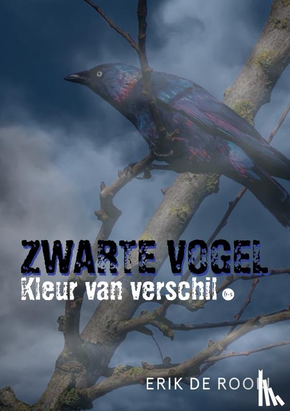de Rooij, Erik - Zwarte vogel