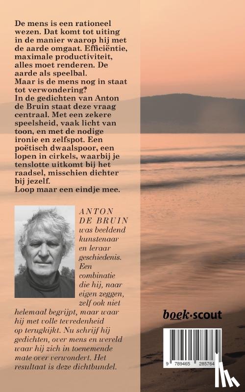 de Bruin, Anton - Lopen in cirkels