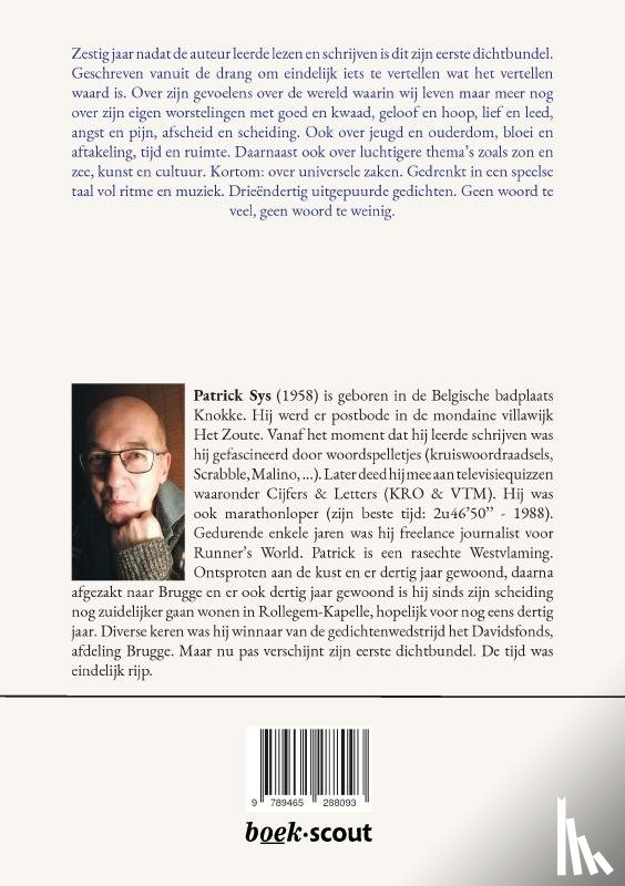 Sys, Patrick - Van ondeugd deugd