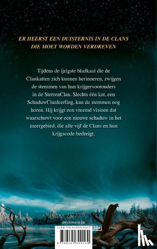 Hunter, Erin - Serie 6 - Boek 1 Verloren sterren