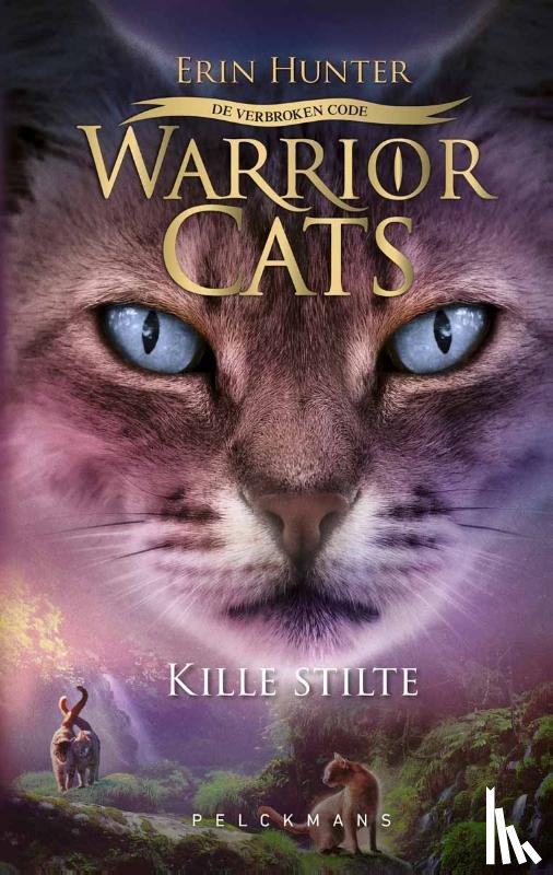 Hunter, Erin - De verbroken code: Kille stilte