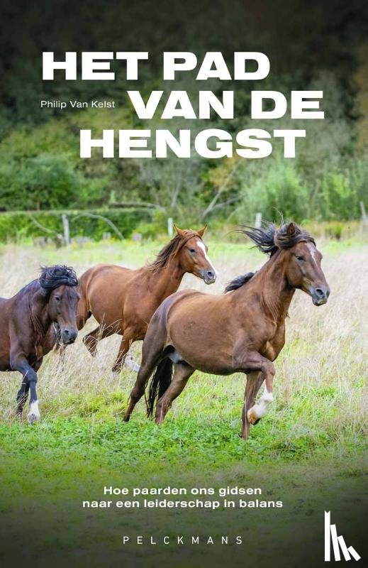 Van Kelst, Philip - Het pad van de hengst