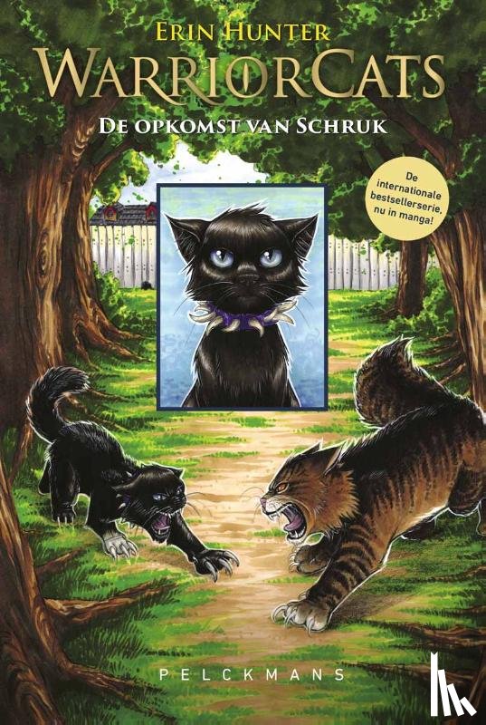 Hunter, Erin, Jolley, Dan - Warrior Cats - Manga: De opkomst van Schruk
