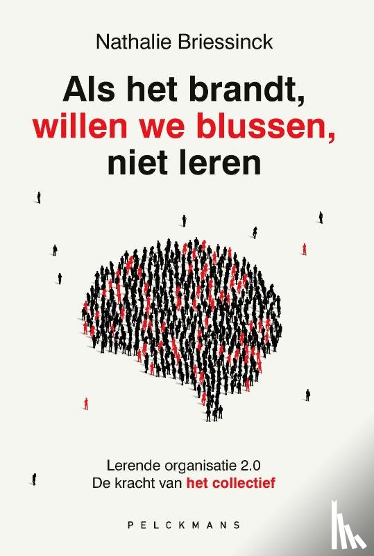 Briessinck, Nathalie - Als het brandt, willen we blussen, niet leren