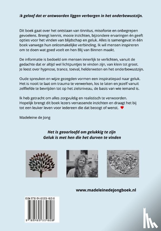 Jong, Madeleine de - Het blij van binnen boek