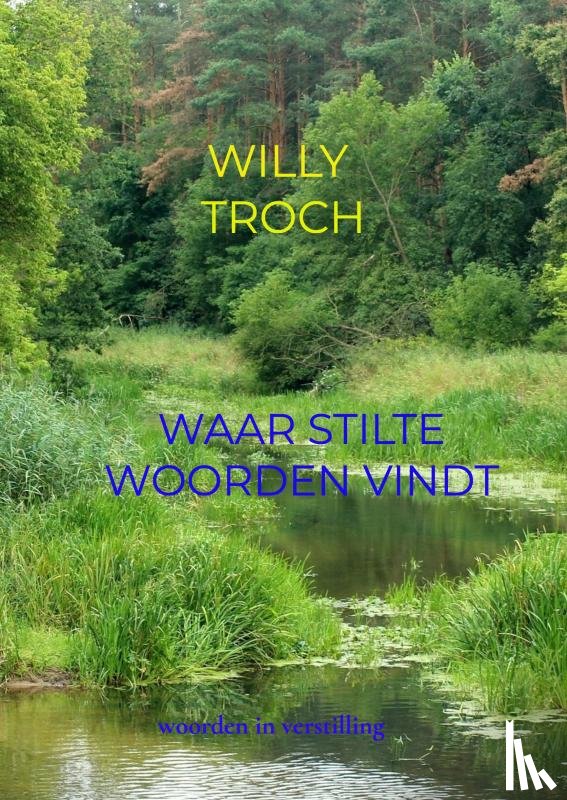 Troch, Willy - Waar stilte woorden vindt