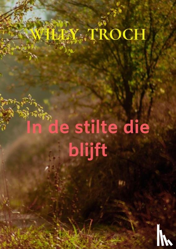 Troch, Willy - In de stilte die blijft