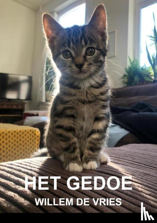 De Vries, Willem - Het gedoe