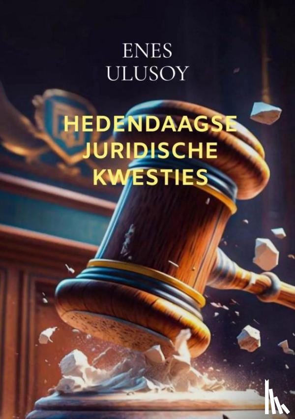 Ulusoy, Enes - Hedendaagse juridische kwesties