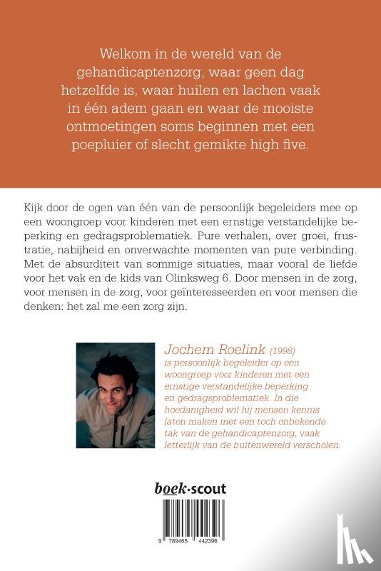 Roelink, Jochem - Het zal me een zorg zijn
