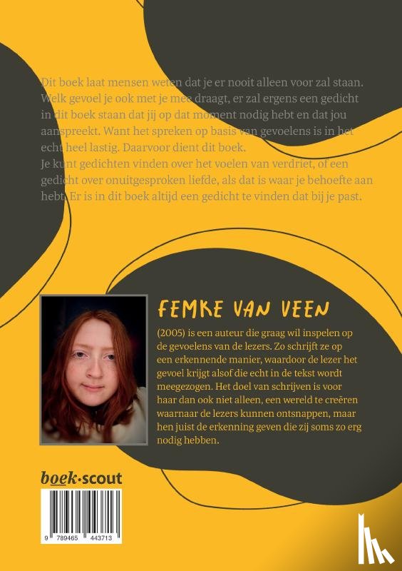 van Veen, Femke - Duisternis achter tranen
