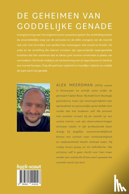 Meersman, Alex - De geheimen van goddelijke genade