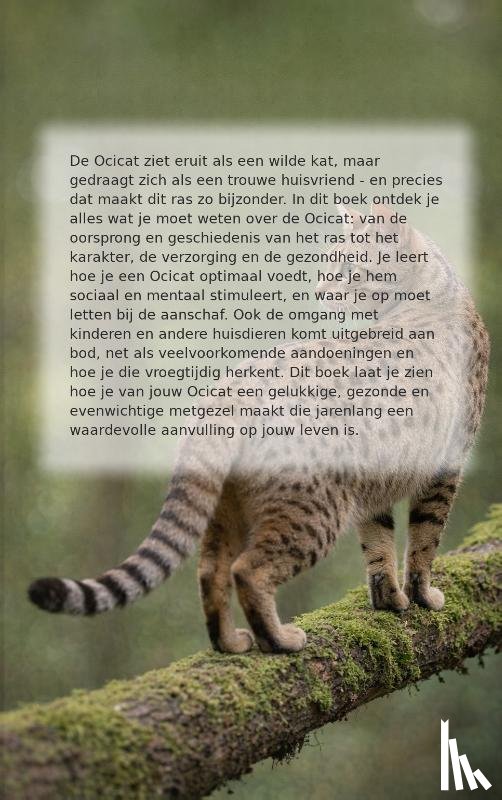  - Alles over de Ocicat