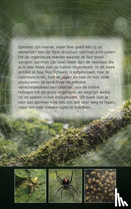 B.V., Andries - Alles over Spinnen