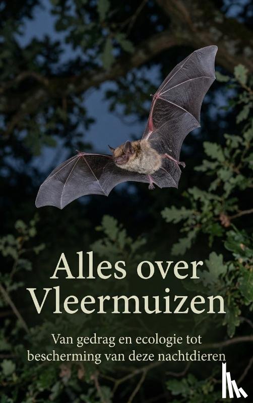 B.V., Andries - Alles over Vleermuizen