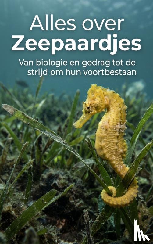 B.V., Andries - Alles over Zeepaardjes