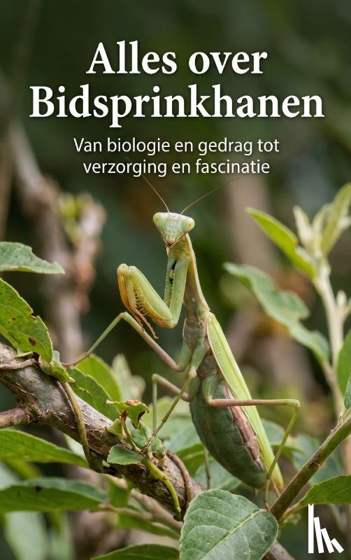 B.V., Andries - Alles over Bidsprinkhanen