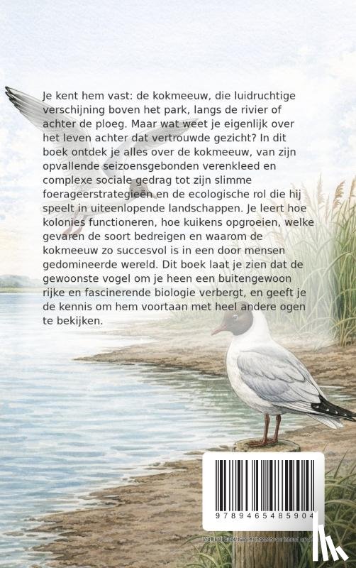 B.V., Andries - Alles over Kokmeeuwen