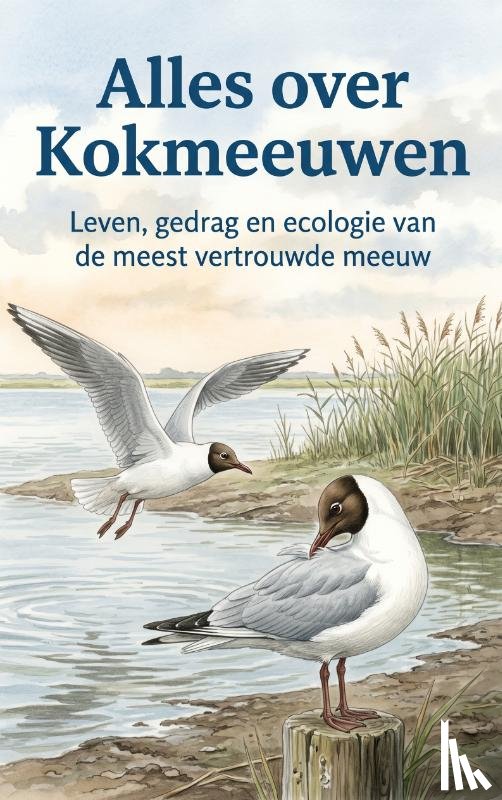 B.V., Andries - Alles over Kokmeeuwen