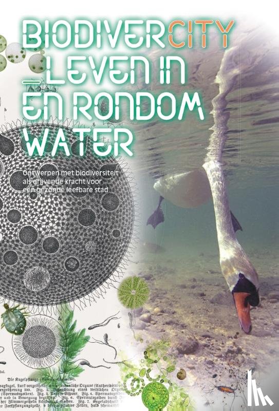  - BiodiverCITY_ Leven in en rondom water