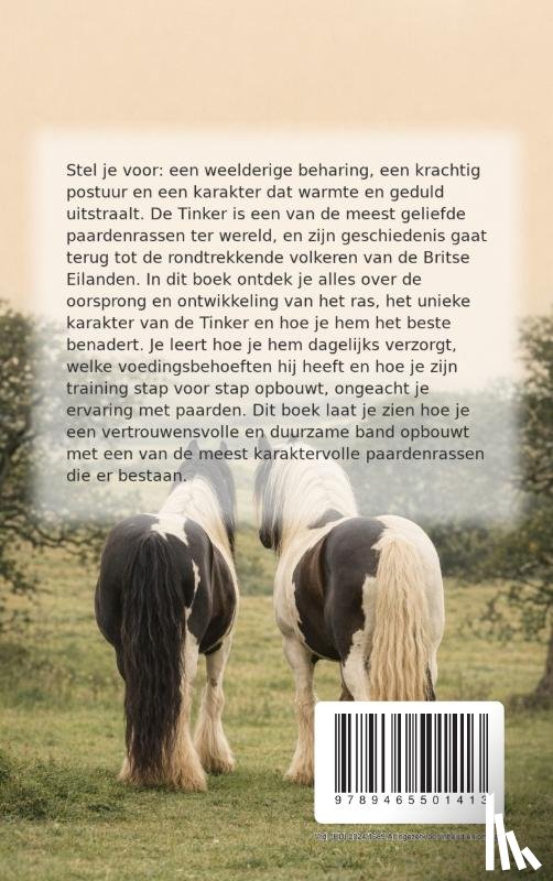 B.V., Andries - Alles over het Tinker