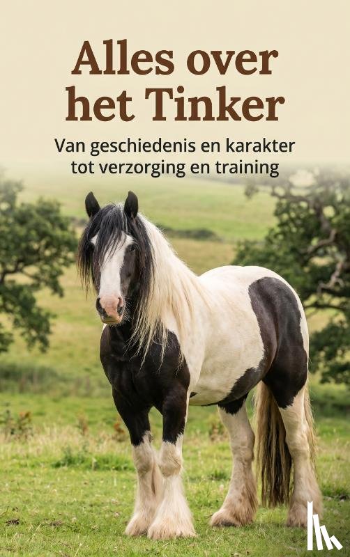 B.V., Andries - Alles over het Tinker