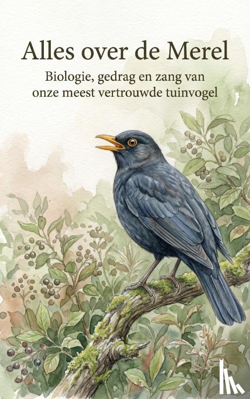 B.V., Andries - Alles over de Merel