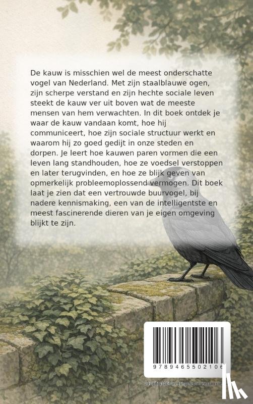 B.V., Andries - Alles over de Kauw