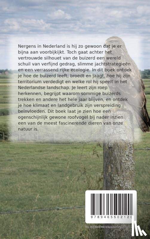 B.V., Andries - Alles over de Buizerd