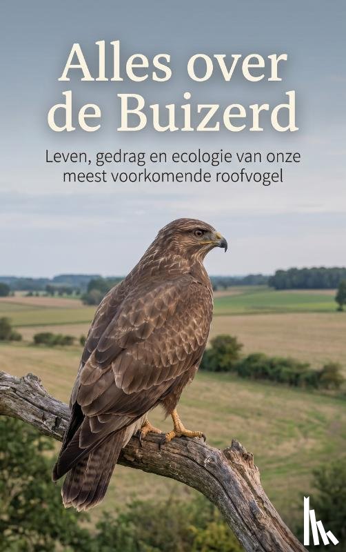 B.V., Andries - Alles over de Buizerd