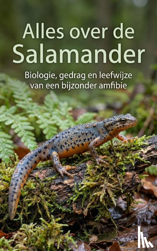  - Alles over de Salamander