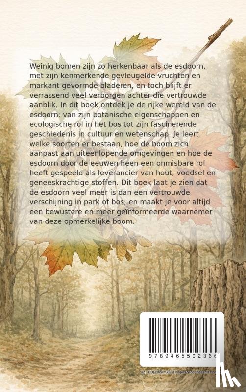  - Alles over de Esdoorn