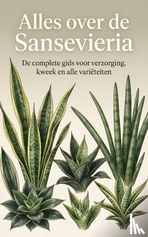  - Alles over de Sansevieria