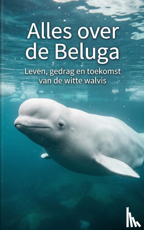 B.V., Andries - Alles over de Beluga