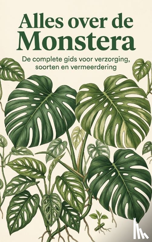 B.V., Andries - Alles over de Monstera