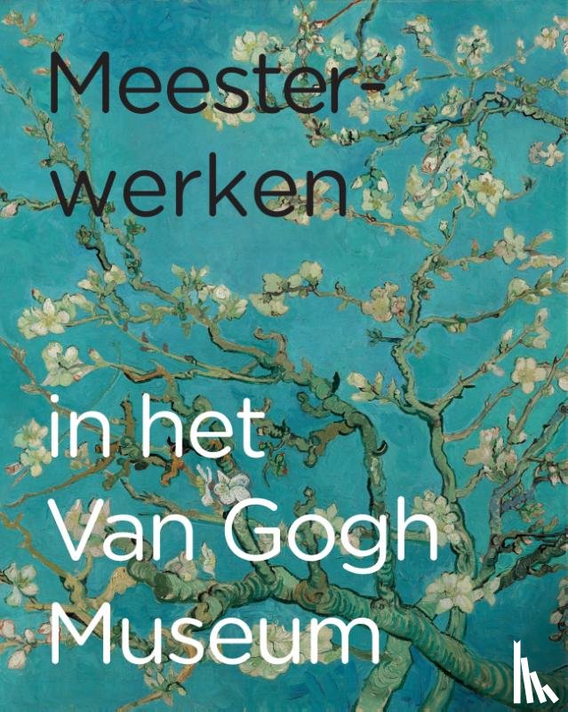 Darley, Esther, Suijver, Renske - Meesterwerken in het Van Gogh Museum