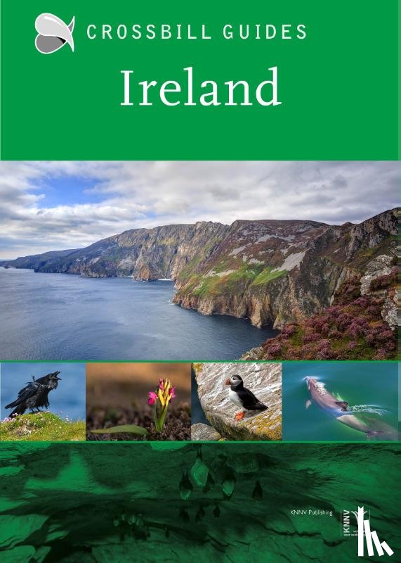 Krieger, Carsten - Ireland