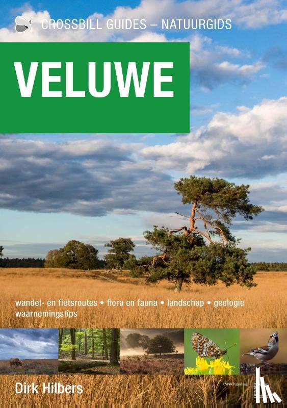 Hilbers, Dirk - Veluwe