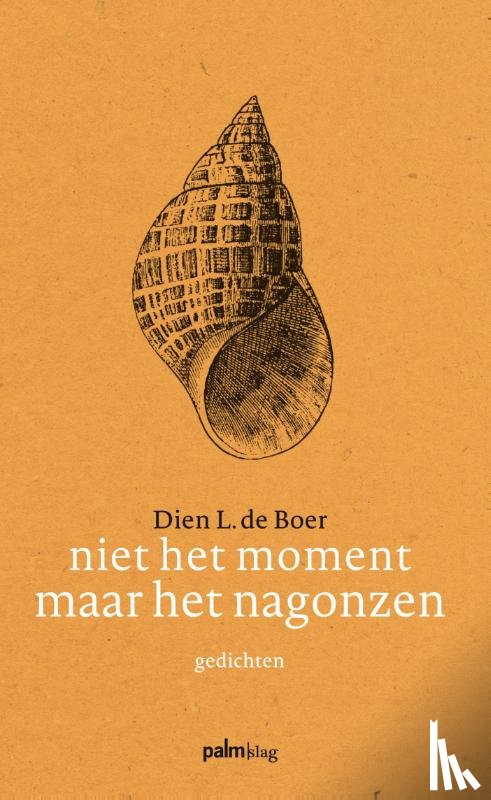 Boer, Dien L. de - Niet het moment maar het nagonzen