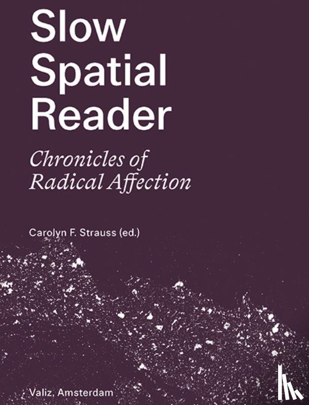 Strauss, Carolyn - Slow Spatial Reader