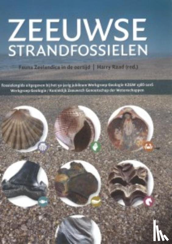  - Zeeuwse strandfossielen