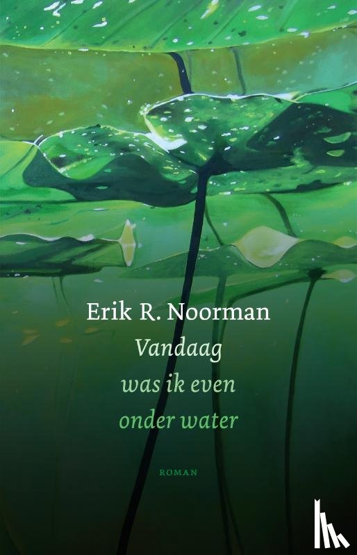 Noorman, Erik R. - Vandaag was ik even onder water