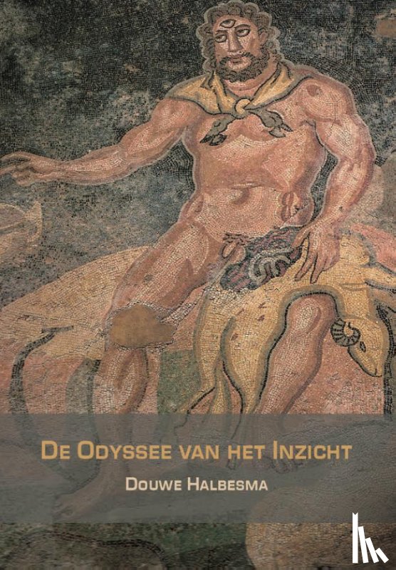 Halbesma, Douwe - De Odyssee van het inzicht