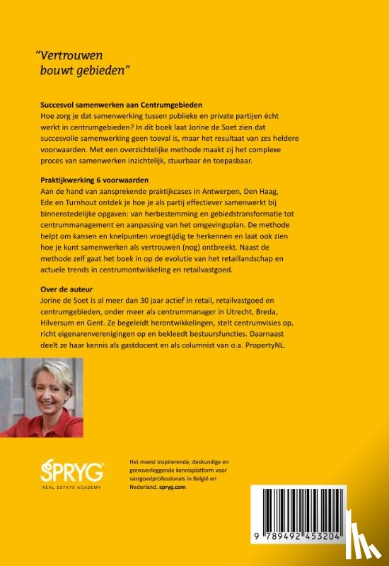 Soet, Jorine de - Succesvol samenwerken aan centrumgebieden