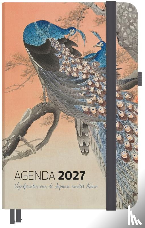 Studio Colori - Agenda 2027