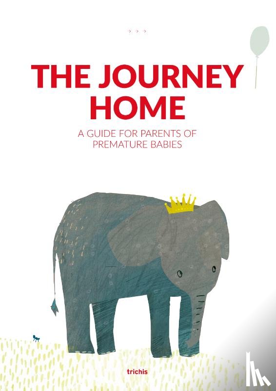 Hoffmann-Haringsma, Angelique, Schönau, Liduine - The Journey Home